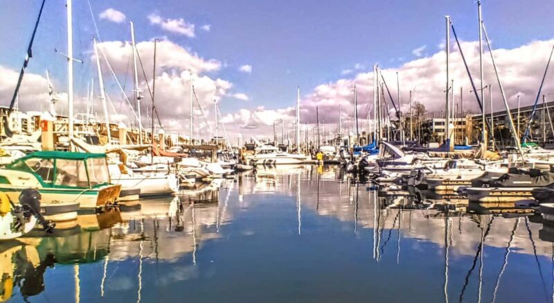 Los Angeles #1: Luxury Boat Cruise-Wine, Cheese & Sea Lions - The Sum Up