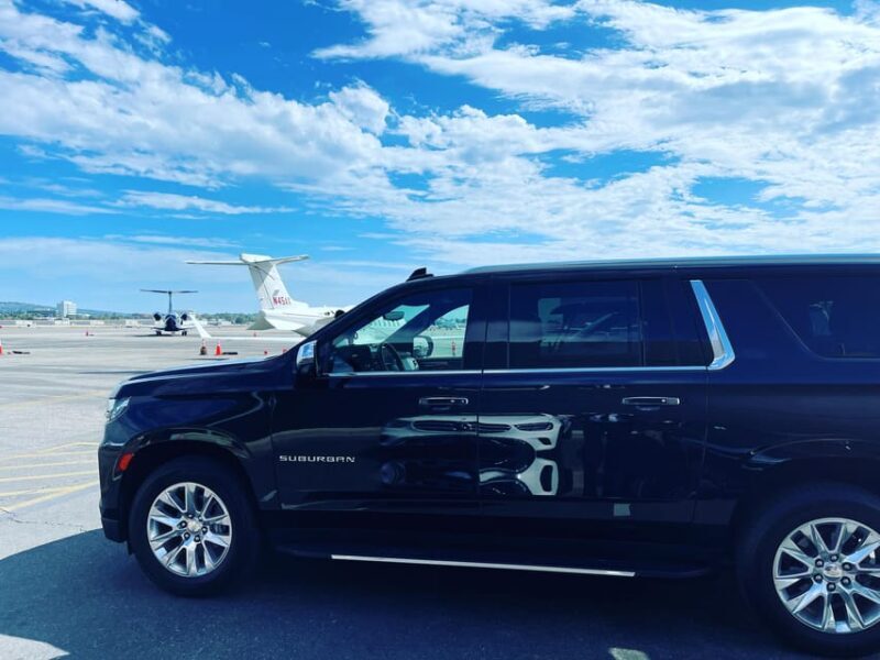 Los Angeles: 1-Way Private Transfer from LAX to Disneyland - Who Should Consider This Service?