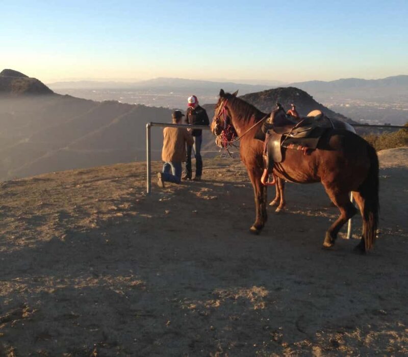 Los Angeles: Evening 2-Hour Hollywood Horseback Riding Tour - Introduction