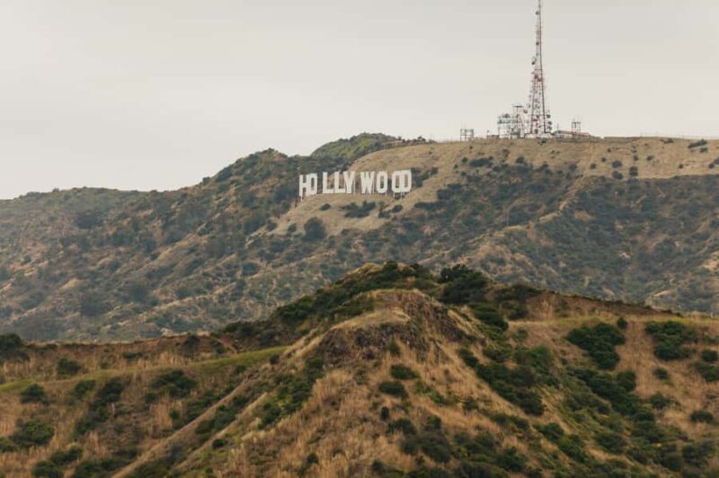 Los Angeles: Half-Day Best of LA Guided City Tour - Who Would Enjoy This Tour?