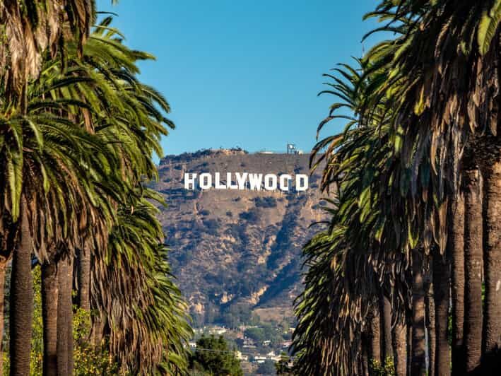 Los Angeles, Hollywood, and Beverly Hills Private Tour - A Deep Dive into the Tour Experience