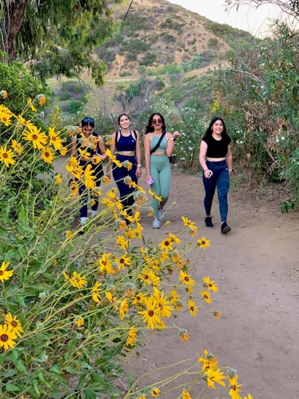 Los Angeles: Hollywood Sunset Walking & Hiking Tour - Final Thoughts on the Tour’s Value