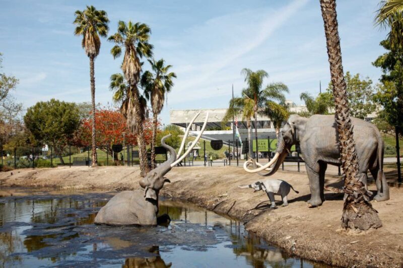 Los Angeles: La Brea Tar Pits Museum Ticket - The Unique Setting of the La Brea Tar Pits