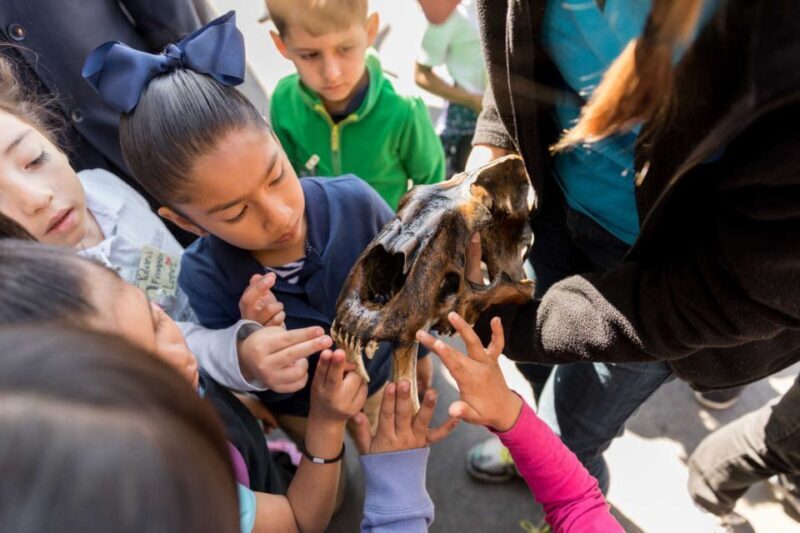Los Angeles: La Brea Tar Pits Museum Ticket - Practical Aspects: Tickets, Timing, and Accessibility
