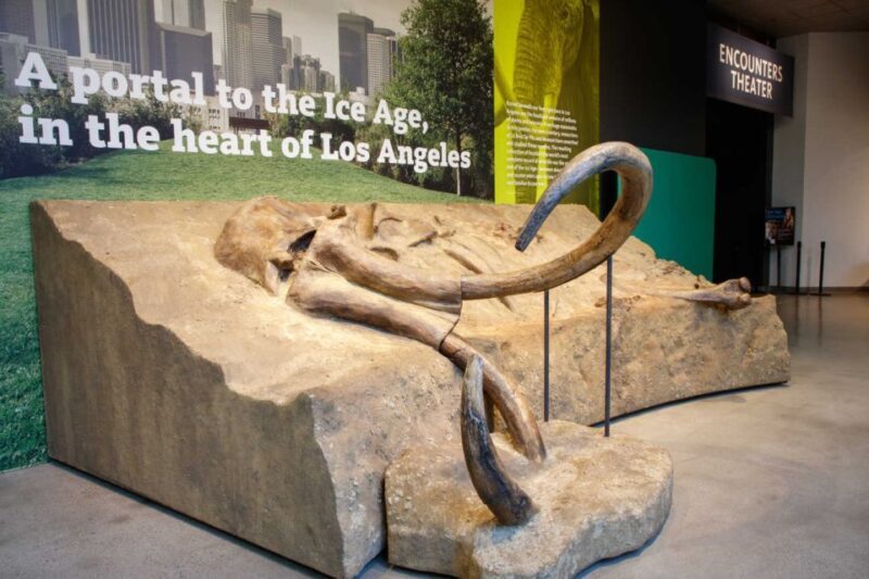 Los Angeles: La Brea Tar Pits Museum Ticket - The Visitor Experience & Reviews