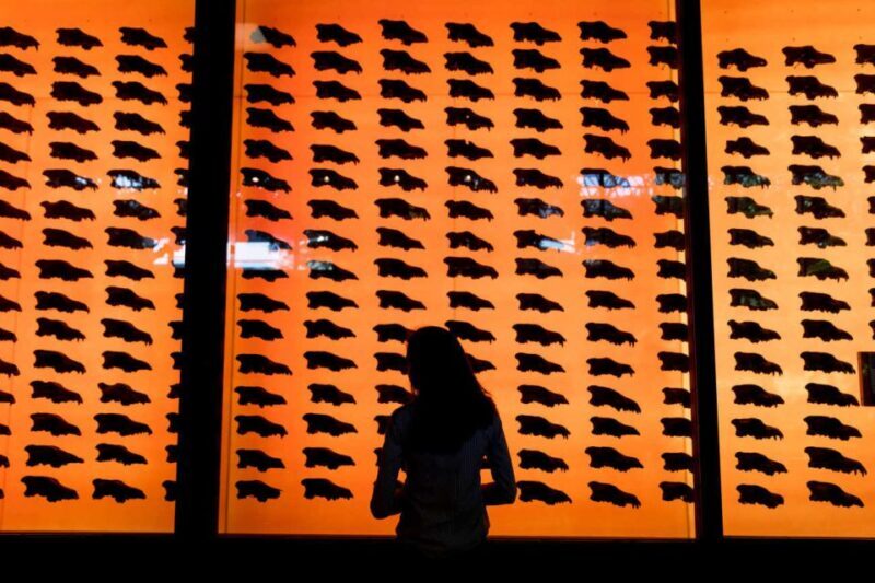 Los Angeles: La Brea Tar Pits Museum Ticket - The Sum Up