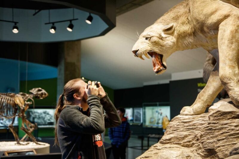 Los Angeles: La Brea Tar Pits Museum Ticket - FAQ
