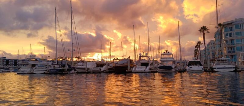 Los Angeles Luxury Cruise w/ Wine, Charcuterie & Sealions - Discover the Best of Marina del Rey with a Luxury LA Water Tour