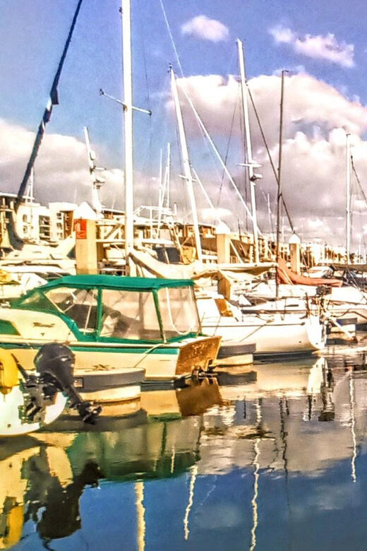 Los Angeles Luxury Cruise w/ Wine, Charcuterie & Sealions - Final Thoughts