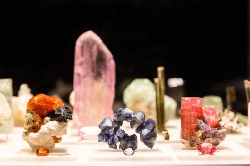 Los Angeles: Natural History Museum of LA Entry Ticket - Key Points