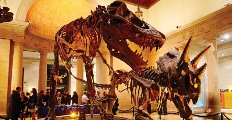 Los Angeles: Natural History Museum of LA Entry Ticket - A Deep Dive into the Experience