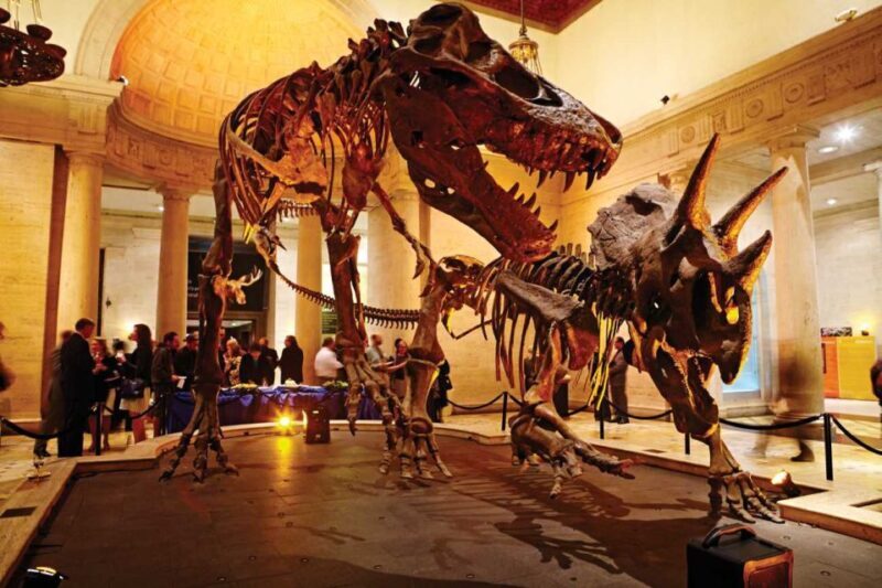 Los Angeles: Natural History Museum of LA Entry Ticket - What to Expect at Each Part of the Museum