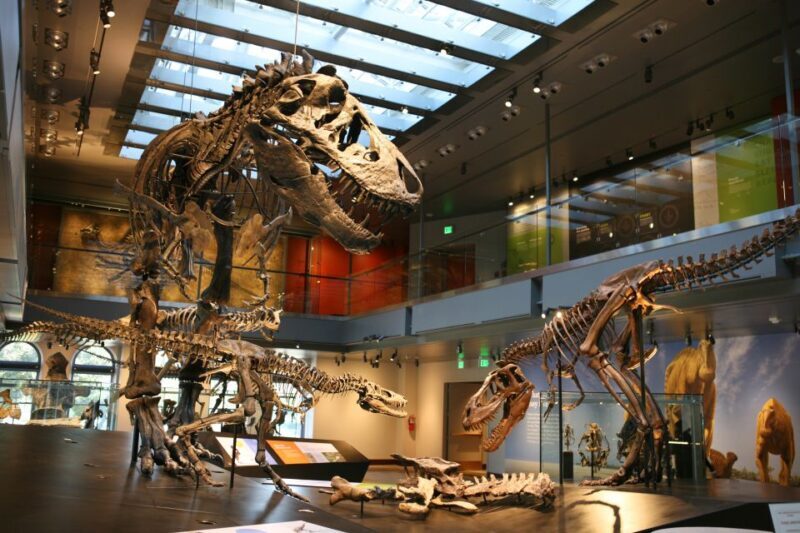 Los Angeles: Natural History Museum of LA Entry Ticket - Authentic Insights from Reviewers