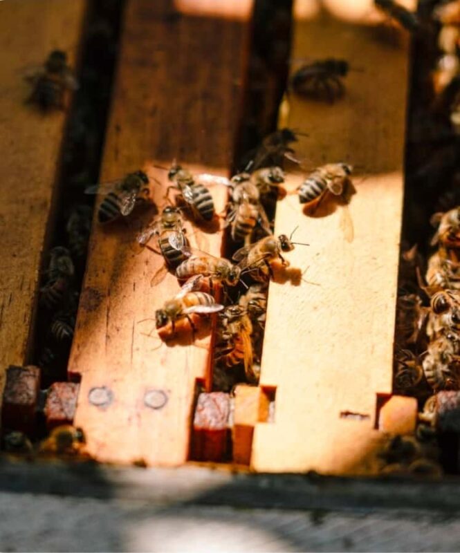 Los Angeles Photo Tour with a Private Photographer - Final Thoughts: Is It Worth It?