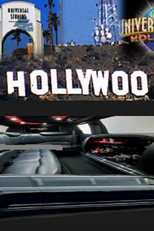 Los Angeles: Private Sightseeing Tour in a Limousine - 4hrs - Final Thoughts