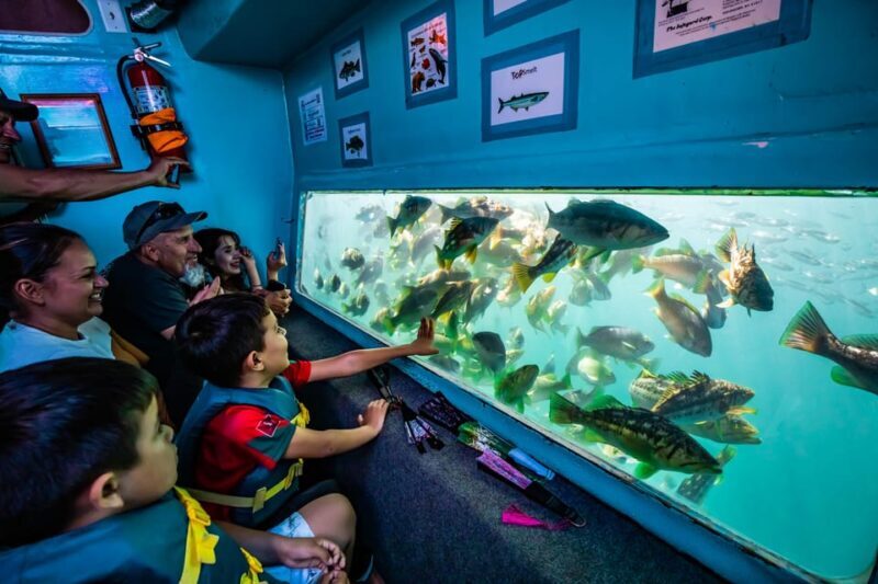 Los Angeles: Redondo Beach Glass Bottom Boat Cruise - The Sum Up