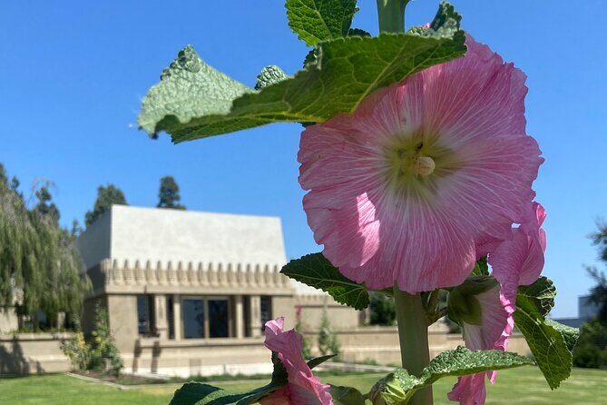 Los Angeles Taco Tour - Final Thoughts