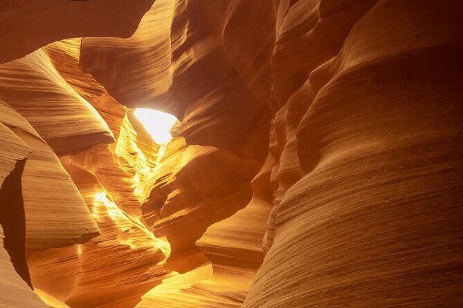 Los Angeles to Las Vegas Yellowstone National Park 7 Day Tour - Practical Considerations and Value