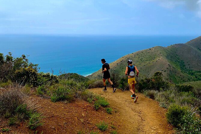 Los Angeles Trail Running - An In-Depth Look at the Los Angeles Trail Running Tour