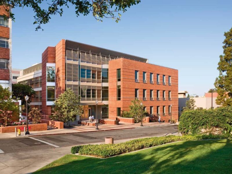 Los Angeles: UCLA Campus Guided Walking Tour - Practical Tips for Visiting