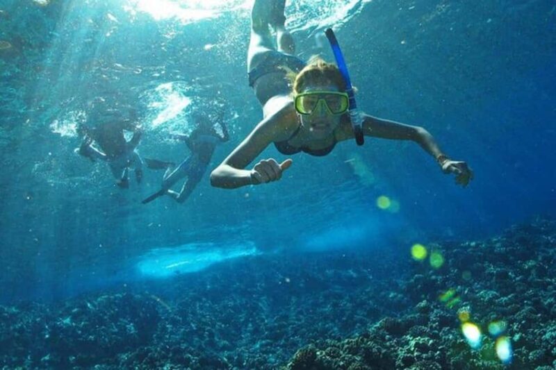 Los Arcos: Snorkel Tour in Los Arcos and Madagascar - What Past Travelers Say