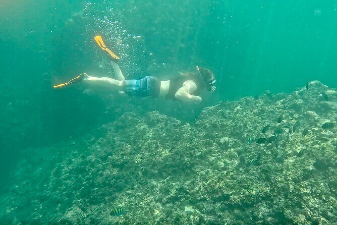 Los Arcos Snorkeling & 5 Island Adventure - Authentic Reviews and Real Experiences