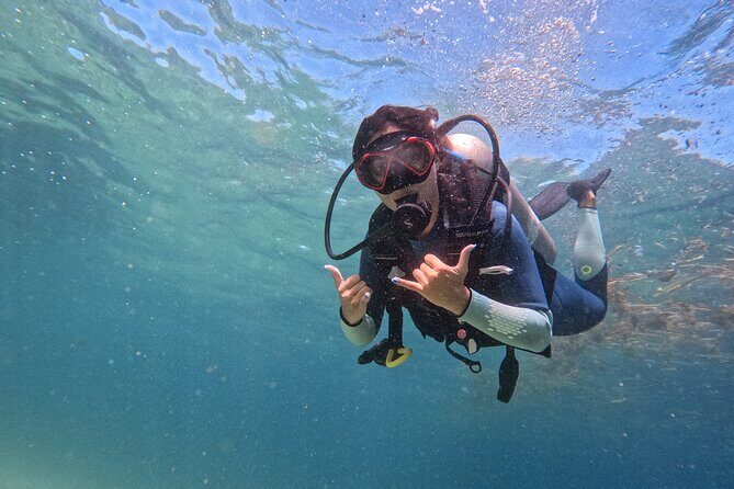 Los Cabos 1 tank dive to Lands End (Certified Divers) - Key Points