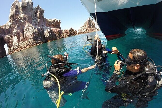 Los Cabos 1 tank dive to Lands End (Certified Divers) - An In-Depth Look at the Cabo San Lucas 1 Tank Dive Tour