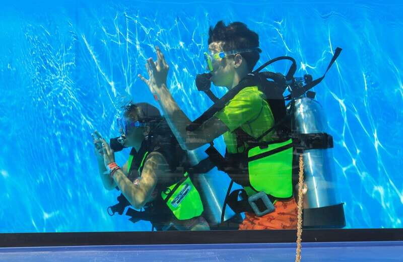 Los Cabos: 3-Hour Introductory Scuba Diving Adventure - The Value of This Experience