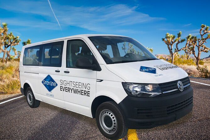 Los Cabos Airport One Way Shuttle Only Arrival - Who Will Love This Service?