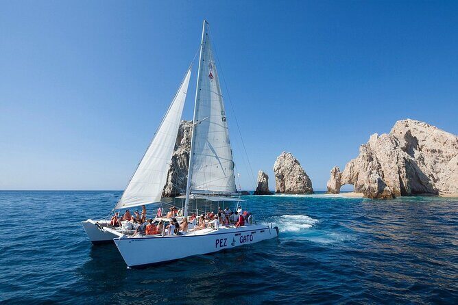Los Cabos All Included Whale Watching Experience - An In-Depth Look at the Whale Watching Tour
