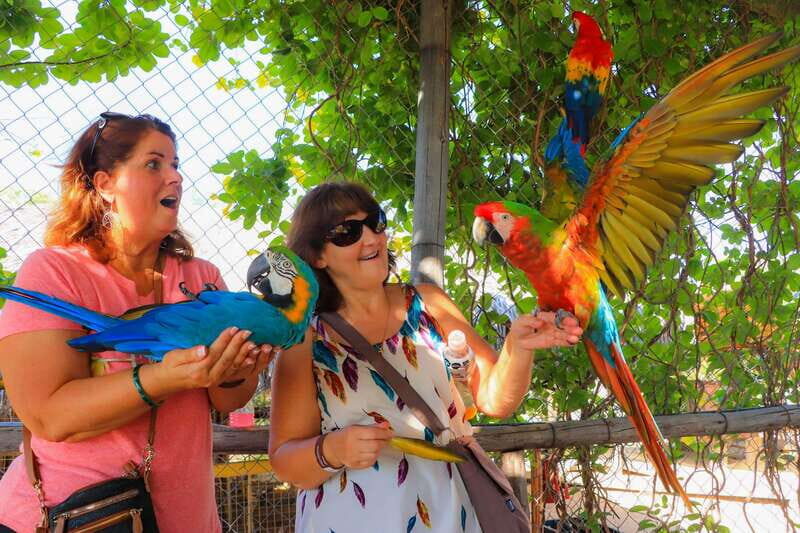 Los Cabos: Animal Encounter & Aqua Park Adventure - What’s Included and What’s Extra?
