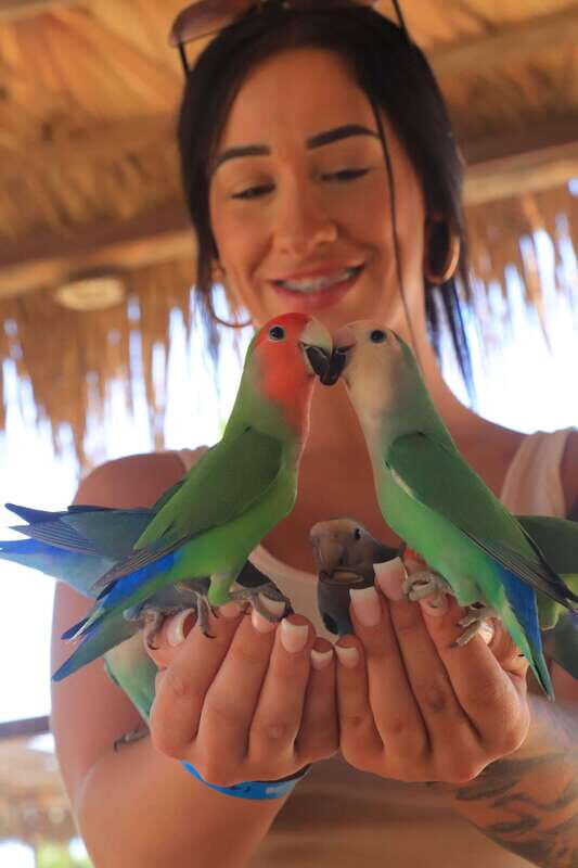 Los Cabos: Animal Encounter & Aqua Park Adventure - The Experience: What Do Travelers Say?
