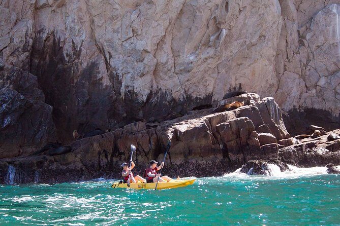 Los Cabos Arch and Playa del Amor Tour by Glass Bottom Kayak - Relaxing and Refreshing