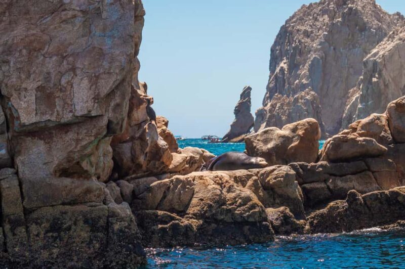 los cabos arch tour & drinks +snorkel tour - The Sum Up: Who Is This Tour Best For?