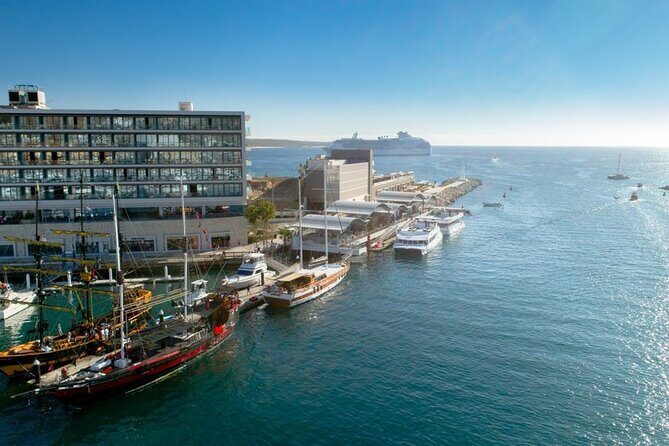 Los Cabos: Arch´s Tour With Free time at Lovers Beach - Final Thoughts