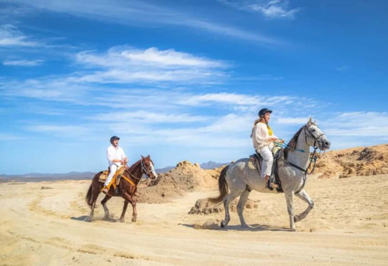 Los Cabos: ATV, Camel, and Sky Bike Tour with Tequila - A Thrilling Way to Experience Los Cabos