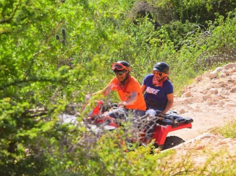 Los Cabos: ATV, Camel, and Sky Bike Tour with Tequila - Practical Tips for Participants