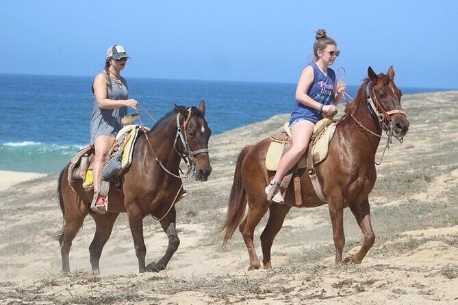 Los Cabos ATV/UTV & Horseback Riding COMBO Tour & Tequila Tasting - FAQ