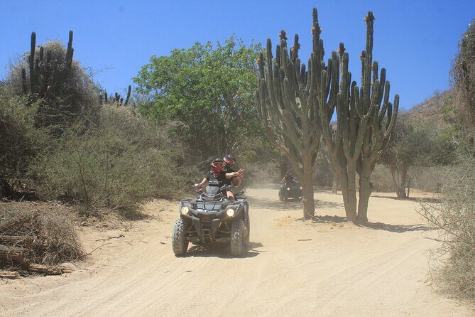 Los Cabos Beach & Desert Tour in Automatic ATV + Tequila Tasting - Overall Value