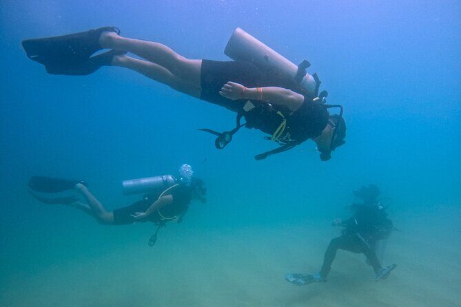 Los Cabos Beginner Scuba Dive Experience - Introduction