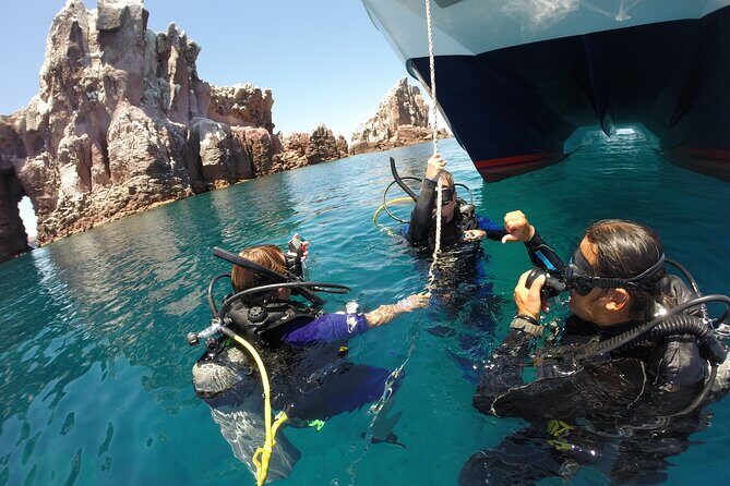 Los Cabos Beginner Scuba Dive Experience - Final Thoughts: Who Should Sign Up?