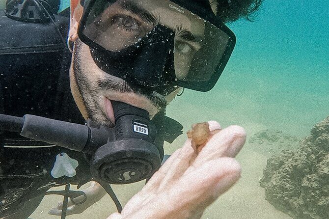 Los Cabos Beginner Scuba Dive Experience - The Sum Up