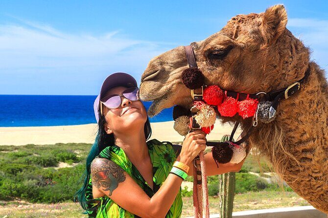 Los Cabos Camel Ride Adventure On The Beach - The Itinerary: A Closer Look