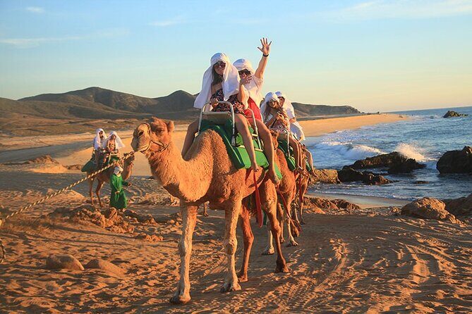 Los Cabos Camel Ride Adventure On The Beach - The Practical Side: Timing, Group Size, & Accessibility