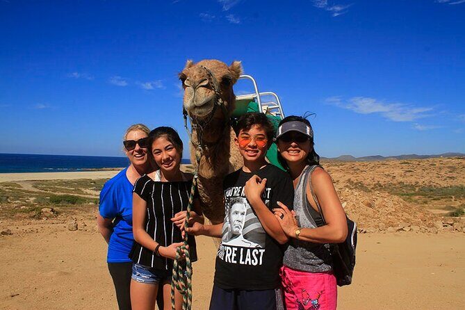 Los Cabos Camel Ride Adventure On The Beach - Who Should Consider This Tour?