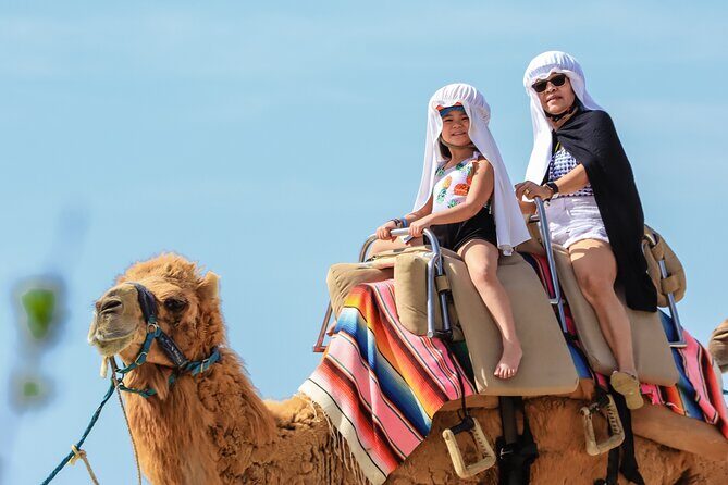 Los Cabos Camel Ride and Tequila Tasting Experience - Key Points