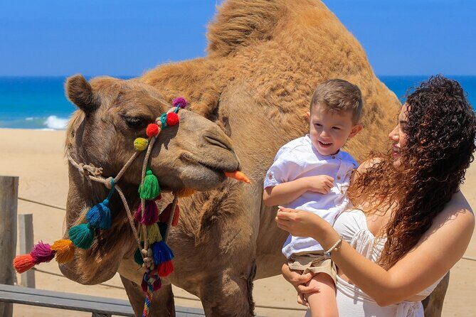 Los Cabos Camel Ride and Tequila Tasting Experience - The Reality: Pros and Cons