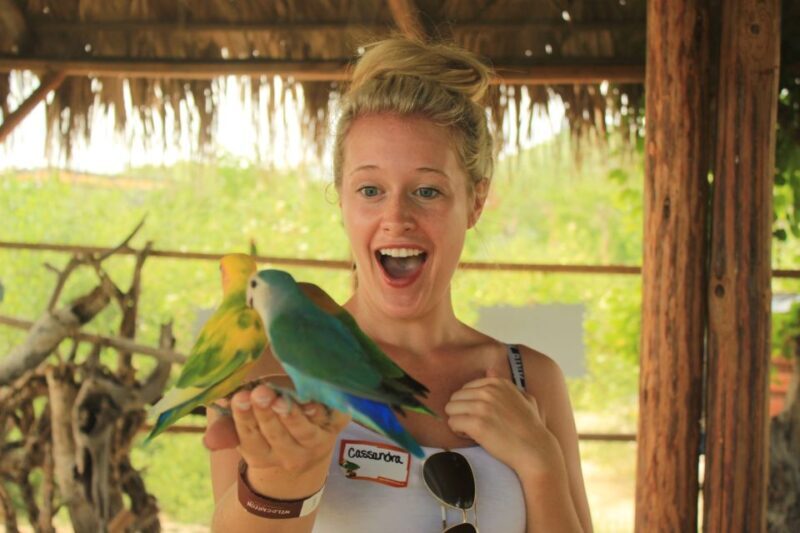 Los Cabos: Camel Ride in the Canyon & Thrilling Water-Slides - Final Thoughts: Is It Worth It?