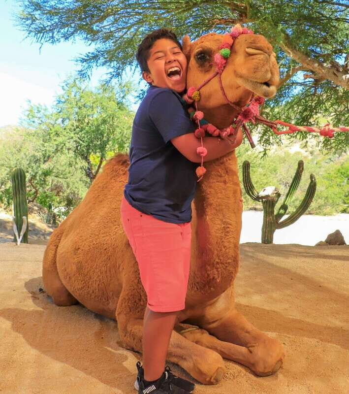 Los Cabos: Camel Ride in the Canyon & Thrilling Water-Slides - FAQ